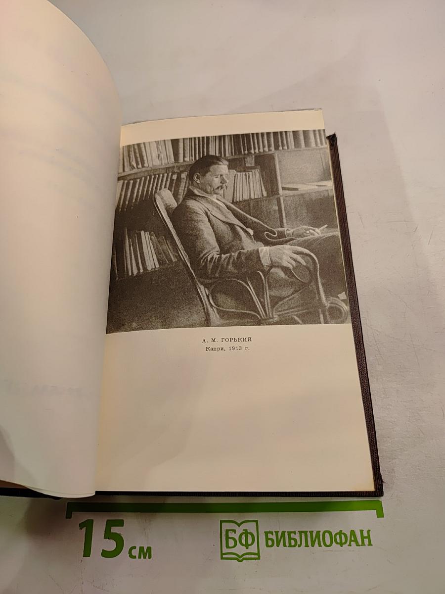 Собрание сочинений в десяти томах. Том четырнадцатый: Повесть. Рассказы 1912-1917