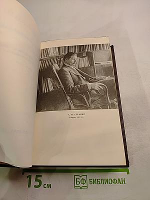 Собрание сочинений в десяти томах. Том четырнадцатый: Повесть. Рассказы 1912-1917