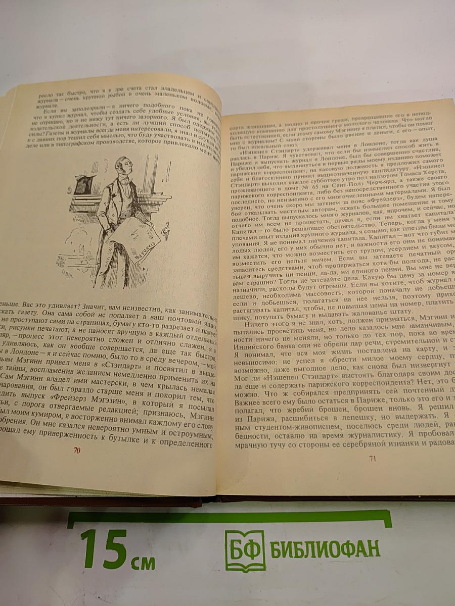 Записки викторианского джентльмена