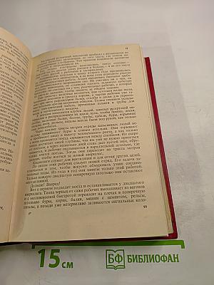 Туннель. Пляска смерти