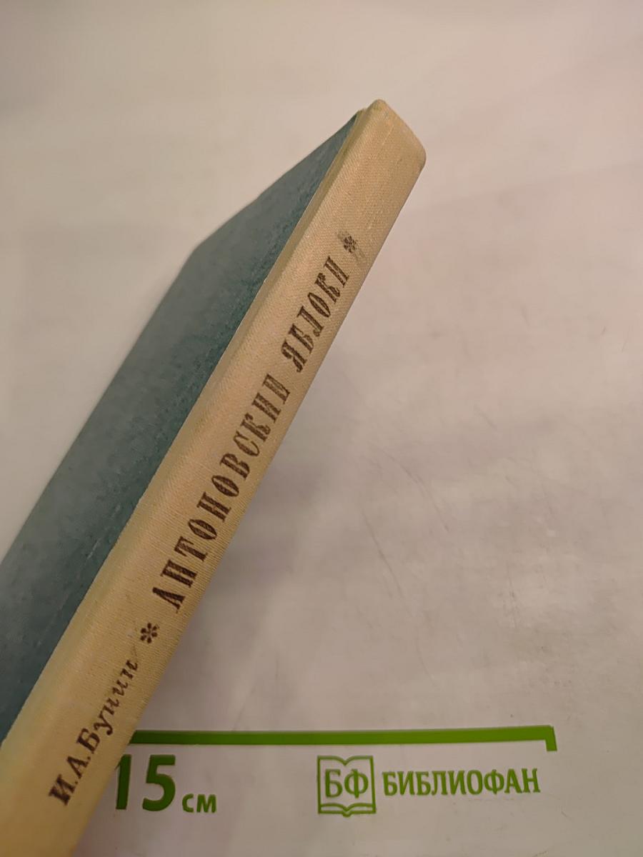 Антоновские яблоки