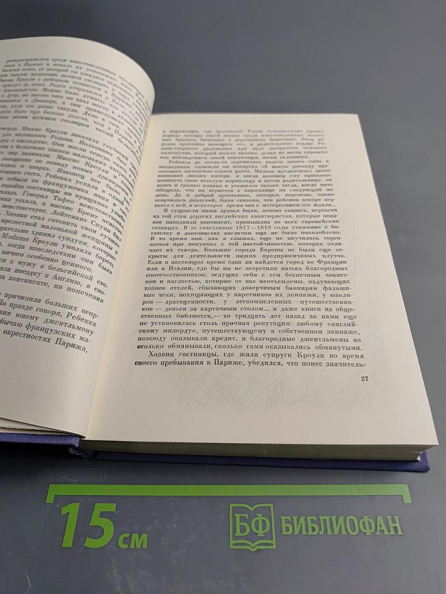 Ярмарка тщеславия. Роман без героя. Том второй