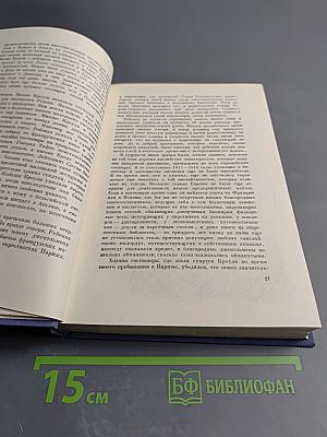 Ярмарка тщеславия. Роман без героя. Том второй