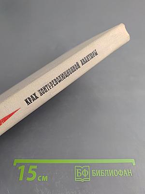 Крах контрреволюционной авантюры