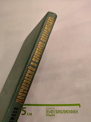 Достоевский в процессе петрашевцев