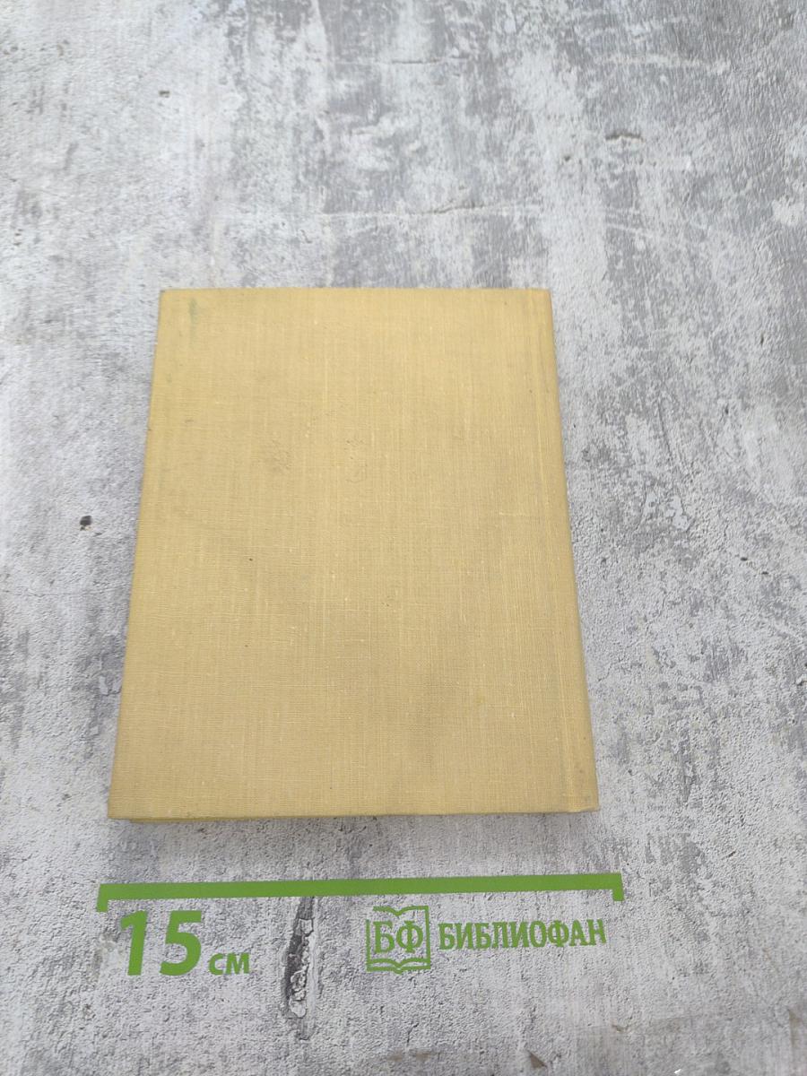 Красный цветок