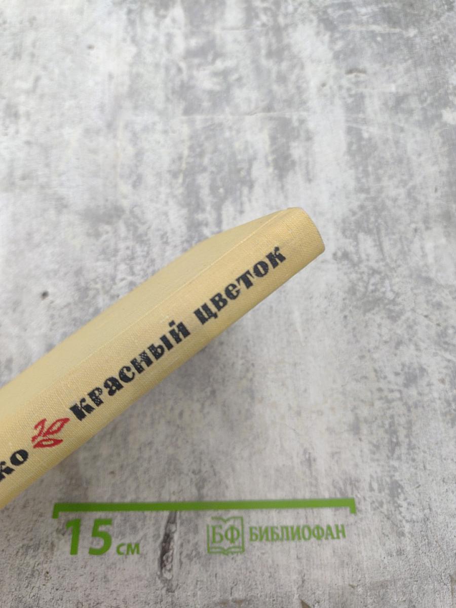 Красный цветок