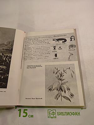 Надежда Константиновна