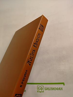 Жизнь Иисуса