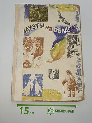 Следы на облаках