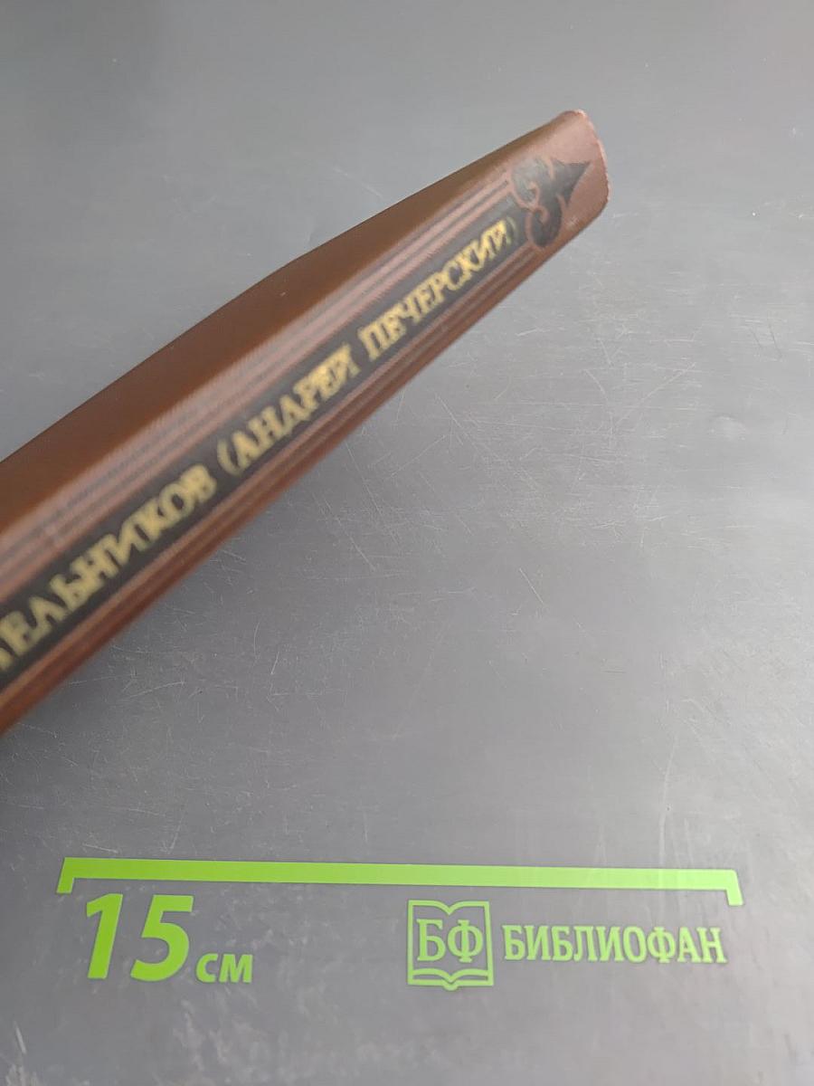 В Лесах. Том 4. Собрание сочинений в восьми томах