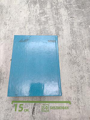 Фонвизин в Петербурге