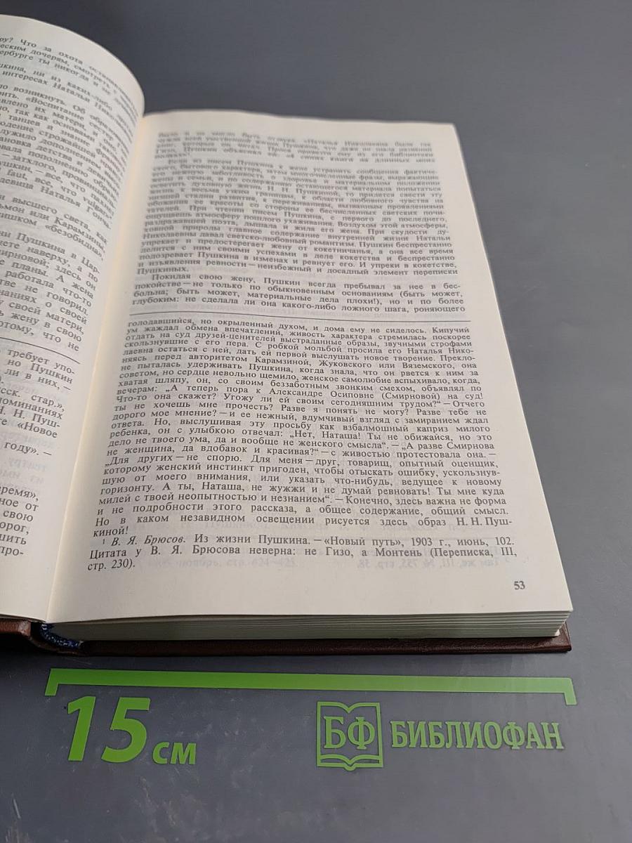 Дуэль и смерть Пушкина