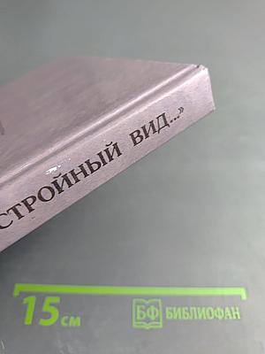 Строгий, Стройный Вид...