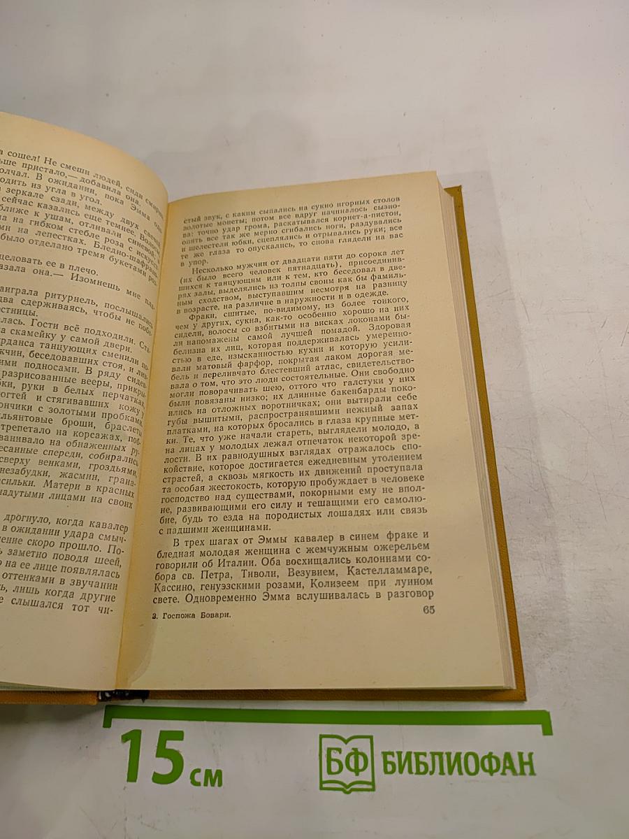 Госпожа Бовари