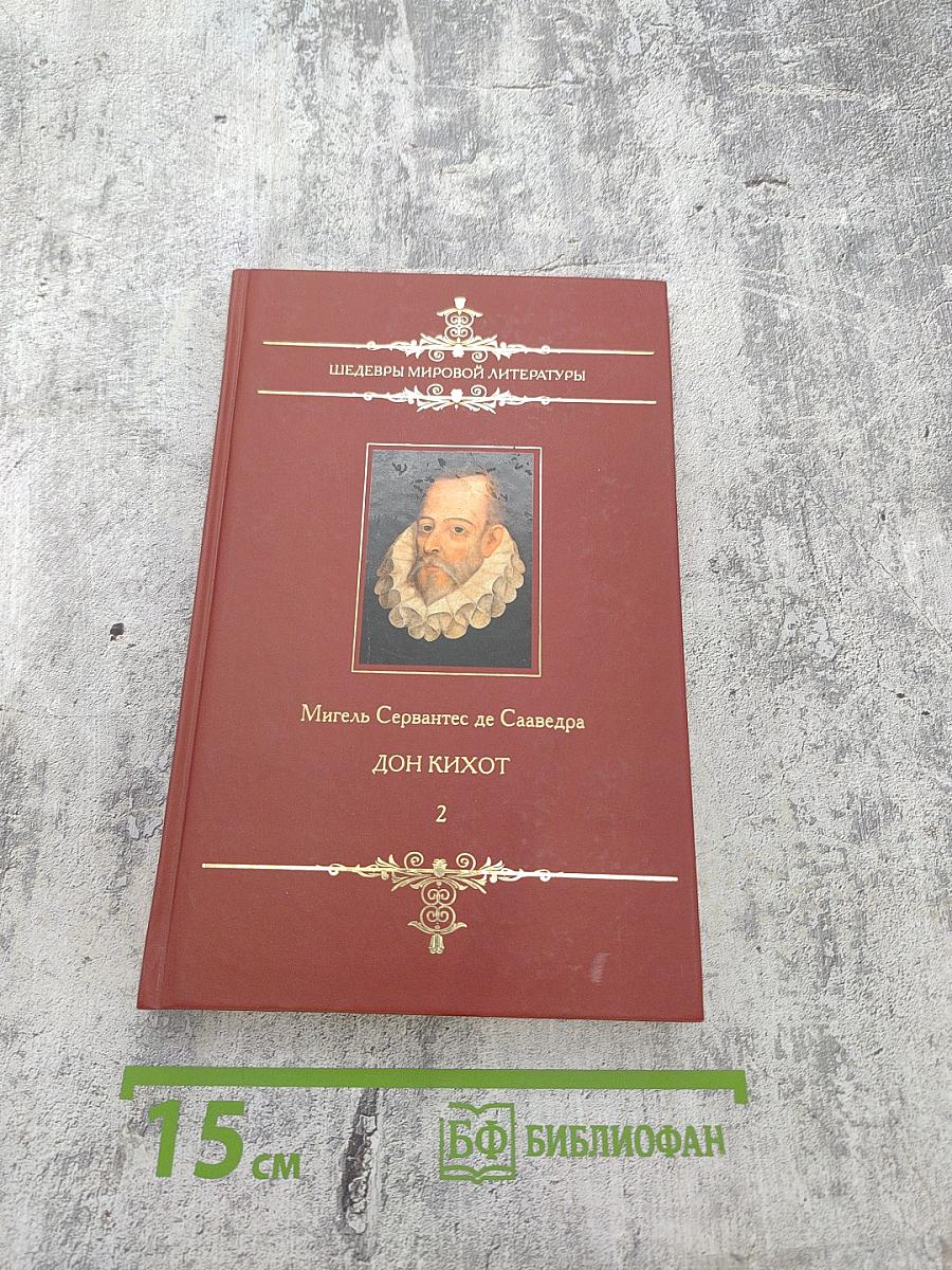 Хитроумный идальго Дон Кихот Ламанчский. Том 2