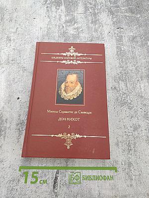 Хитроумный идальго Дон Кихот Ламанчский. Том 2