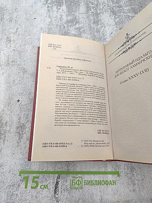 Хитроумный идальго Дон Кихот Ламанчский. Том 2