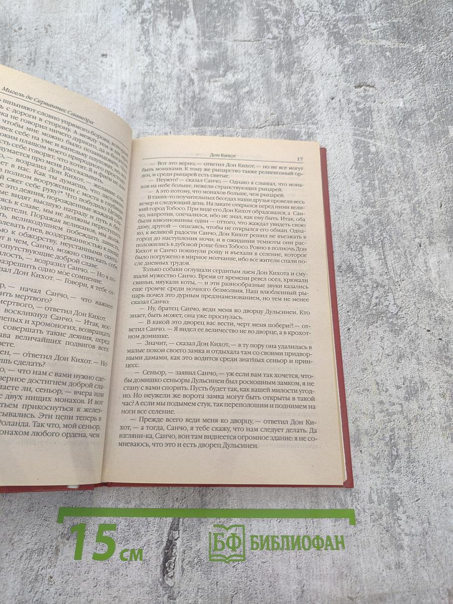 Хитроумный идальго Дон Кихот Ламанчский. Том 2