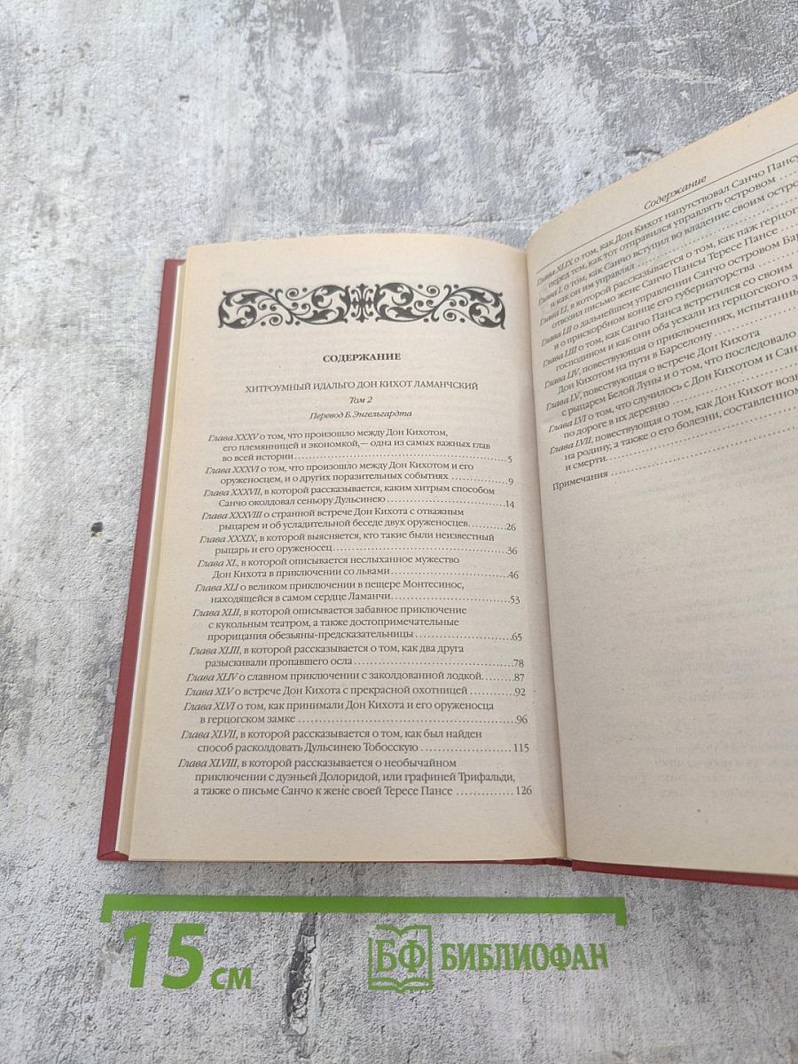 Хитроумный идальго Дон Кихот Ламанчский. Том 2