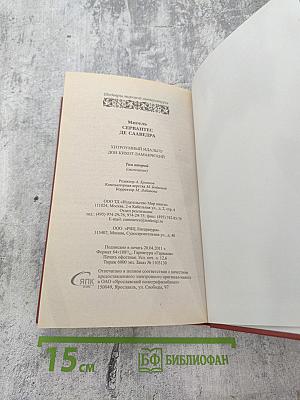 Хитроумный идальго Дон Кихот Ламанчский. Том 2