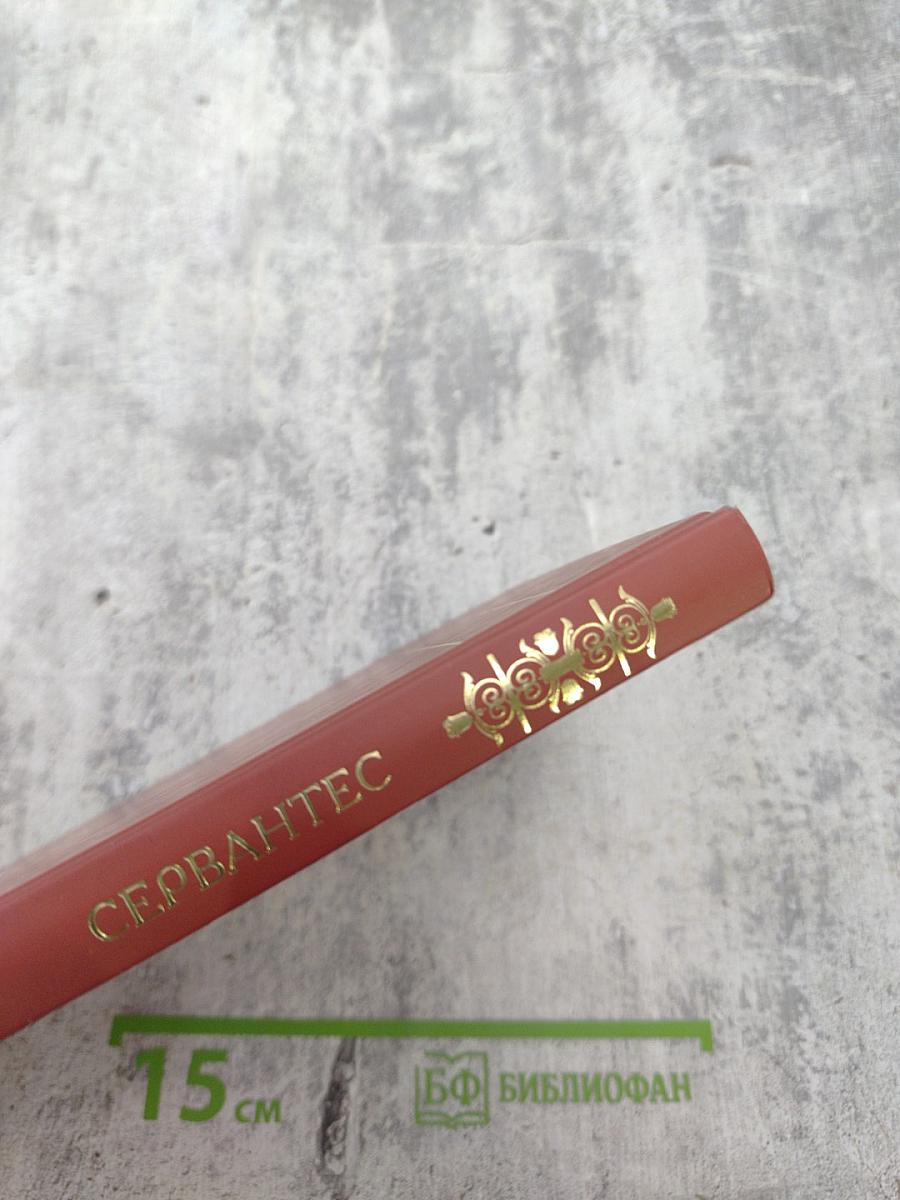 Хитроумный идальго Дон Кихот Ламанчский. Том 2