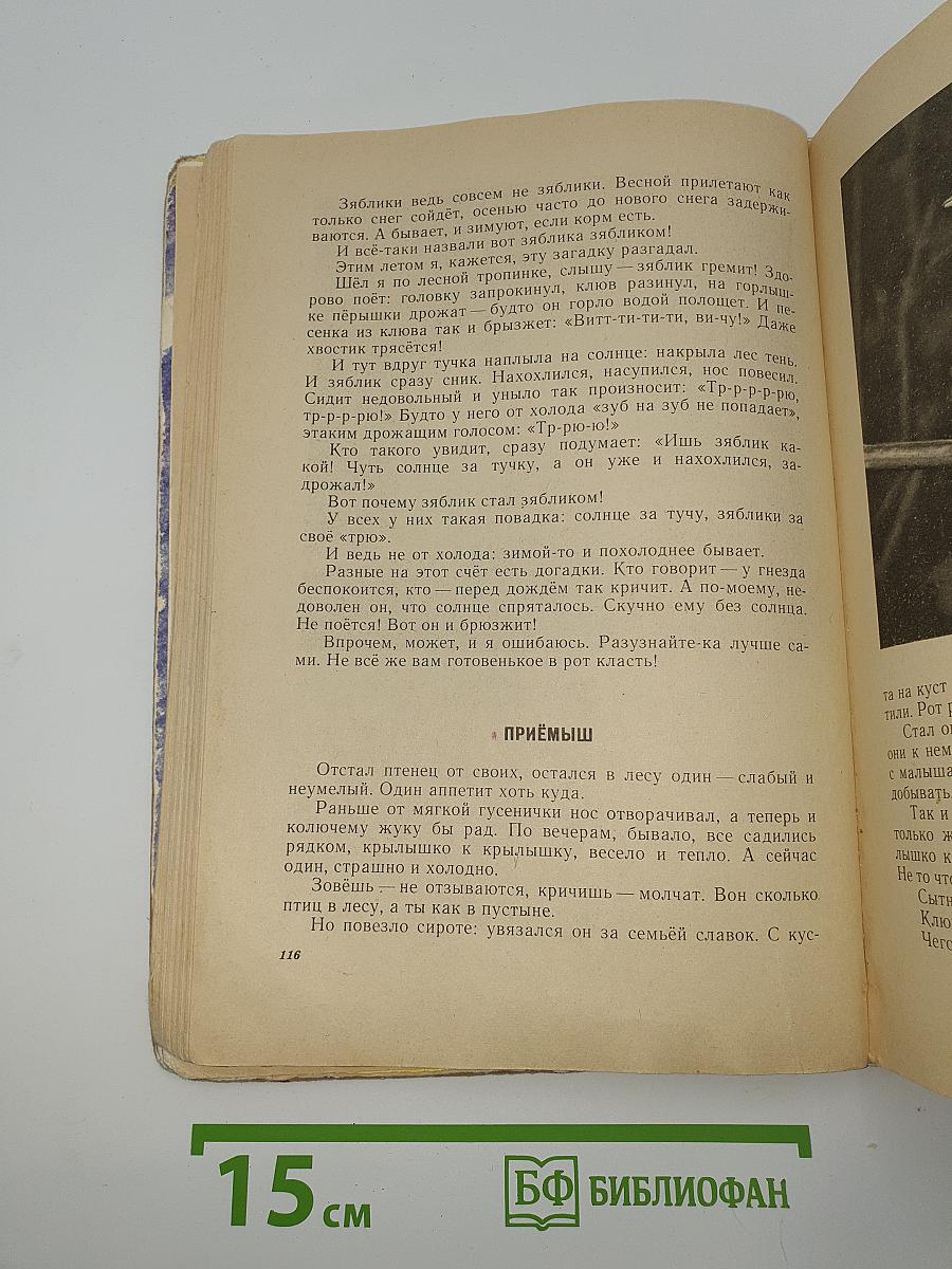 Следы на облаках