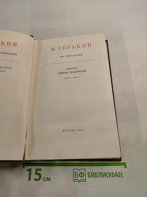 Художественные произведения. Том 13: Пьесы. Сцены. Наброски 1907-1917