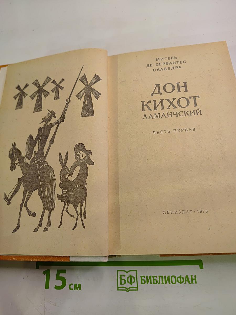 Дон Кихот Ламанчский, Часть первая