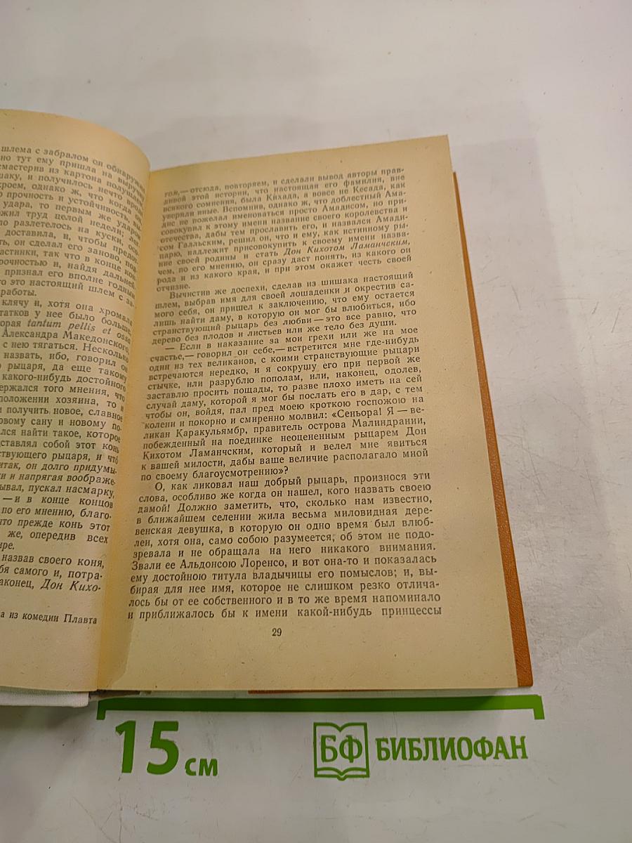 Дон Кихот Ламанчский, Часть первая