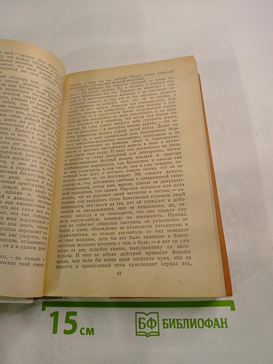 Дон Кихот Ламанчский, Часть первая