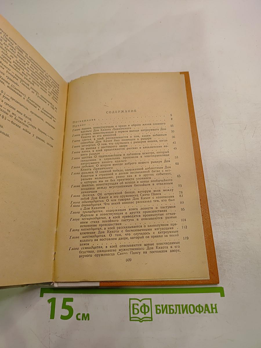 Дон Кихот Ламанчский, Часть первая