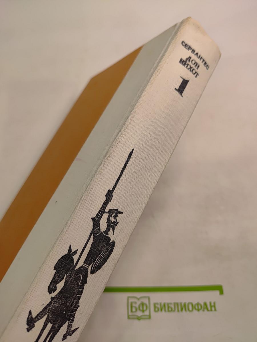 Дон Кихот Ламанчский, Часть первая