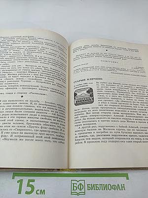 Клянусь землей и солнцем