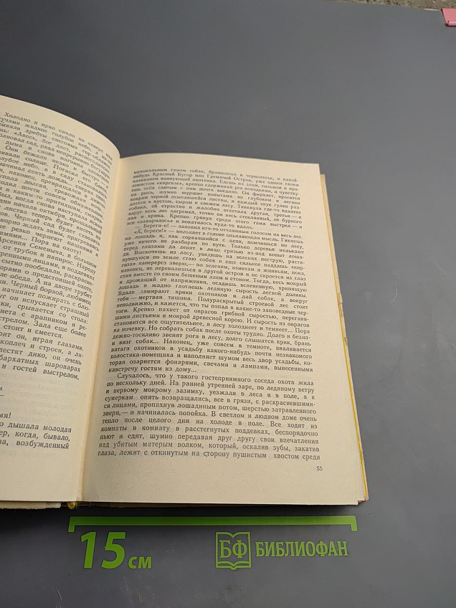 Поэзия и проза