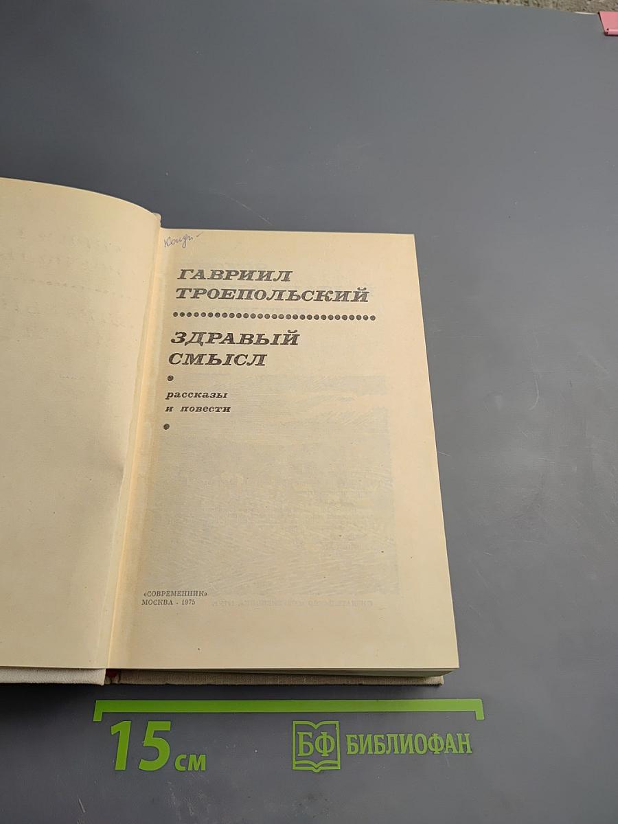 Здравый смысл