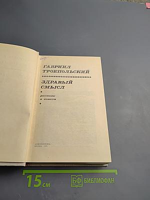 Здравый смысл