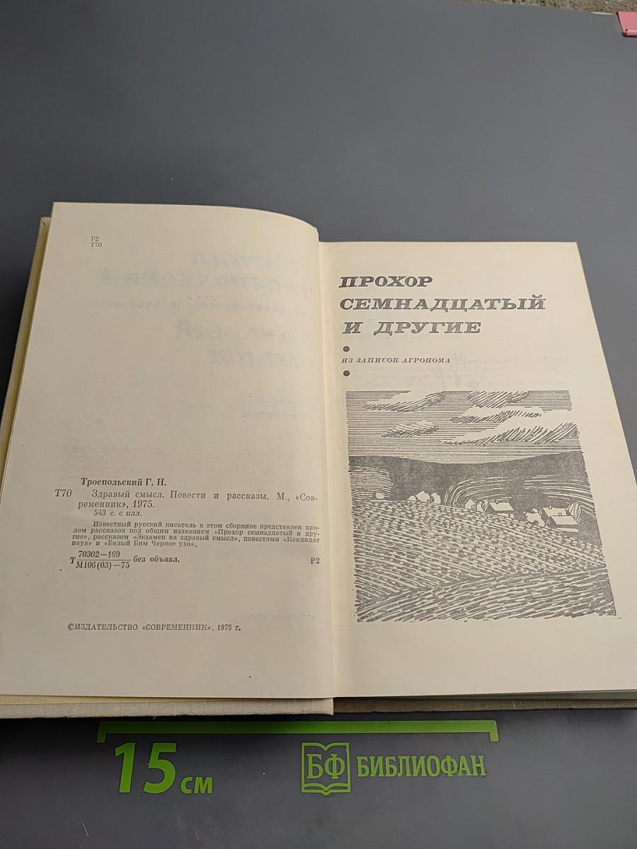 Здравый смысл