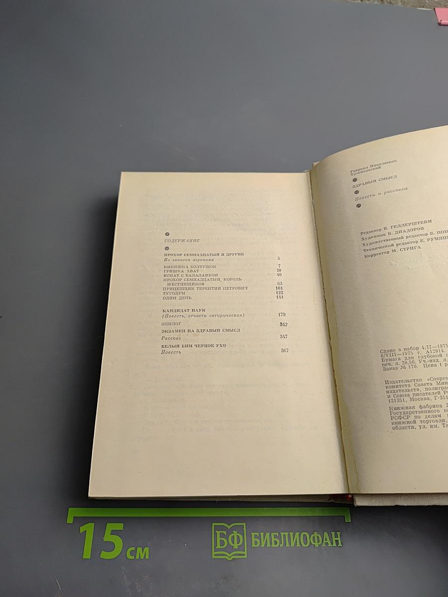 Здравый смысл