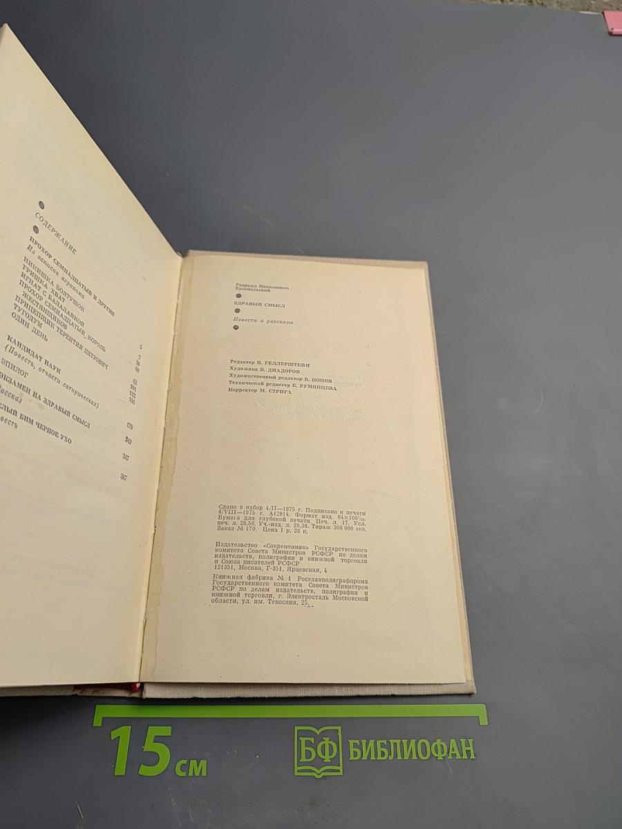 Здравый смысл