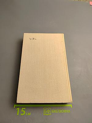 Здравый смысл