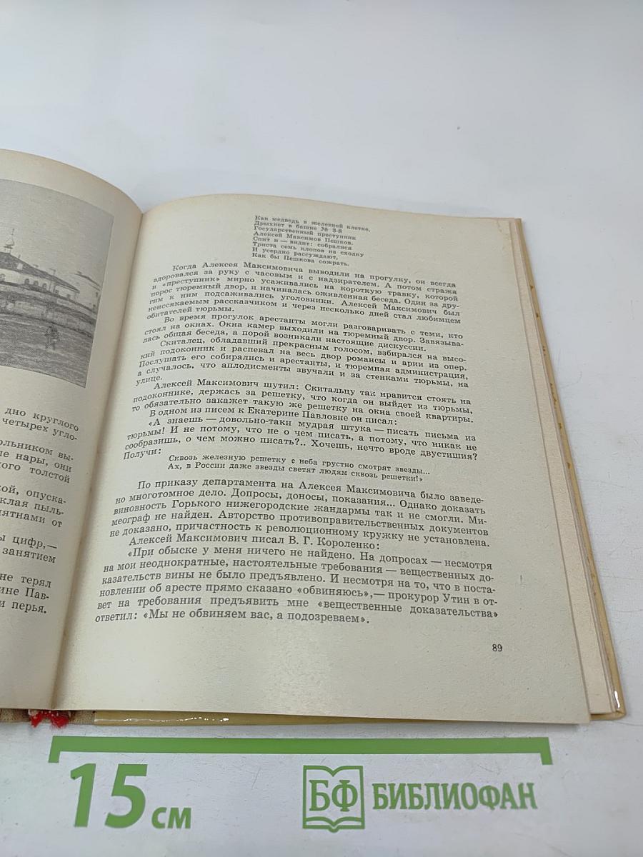 М. Горький в родном городе