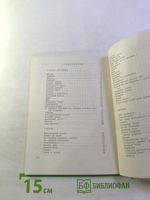 За голубым кордоном тишины