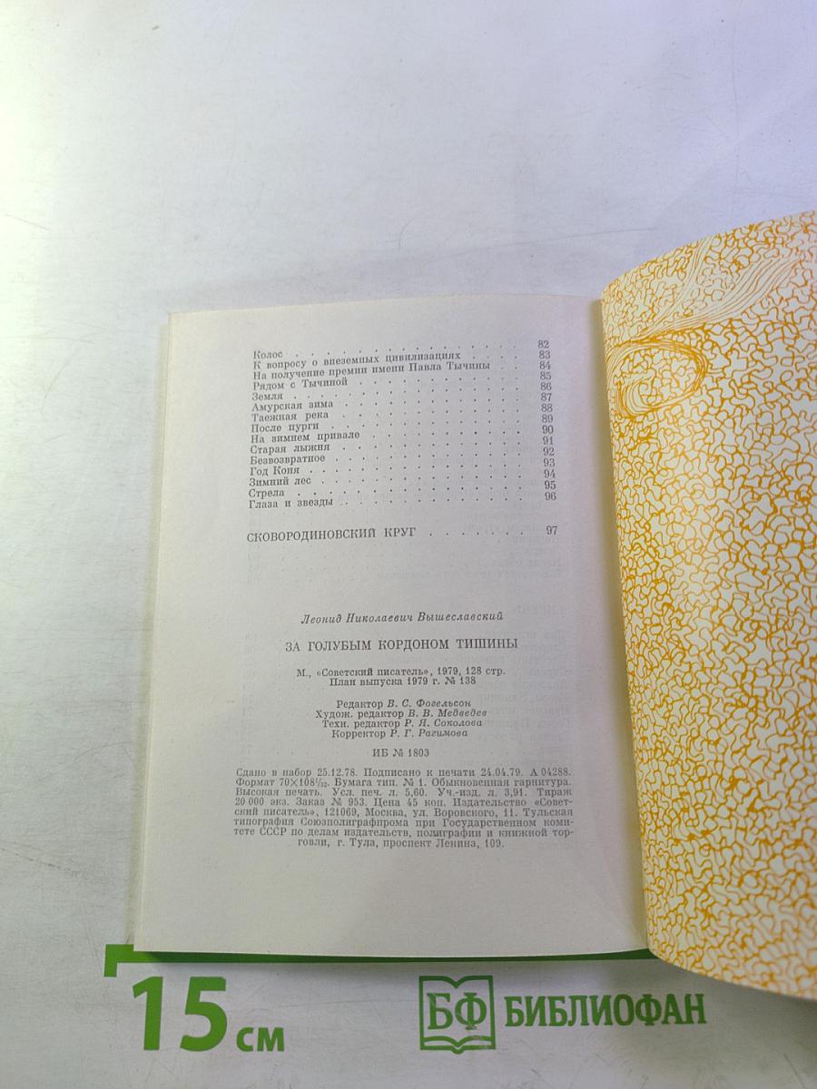 За голубым кордоном тишины