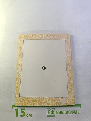 За голубым кордоном тишины