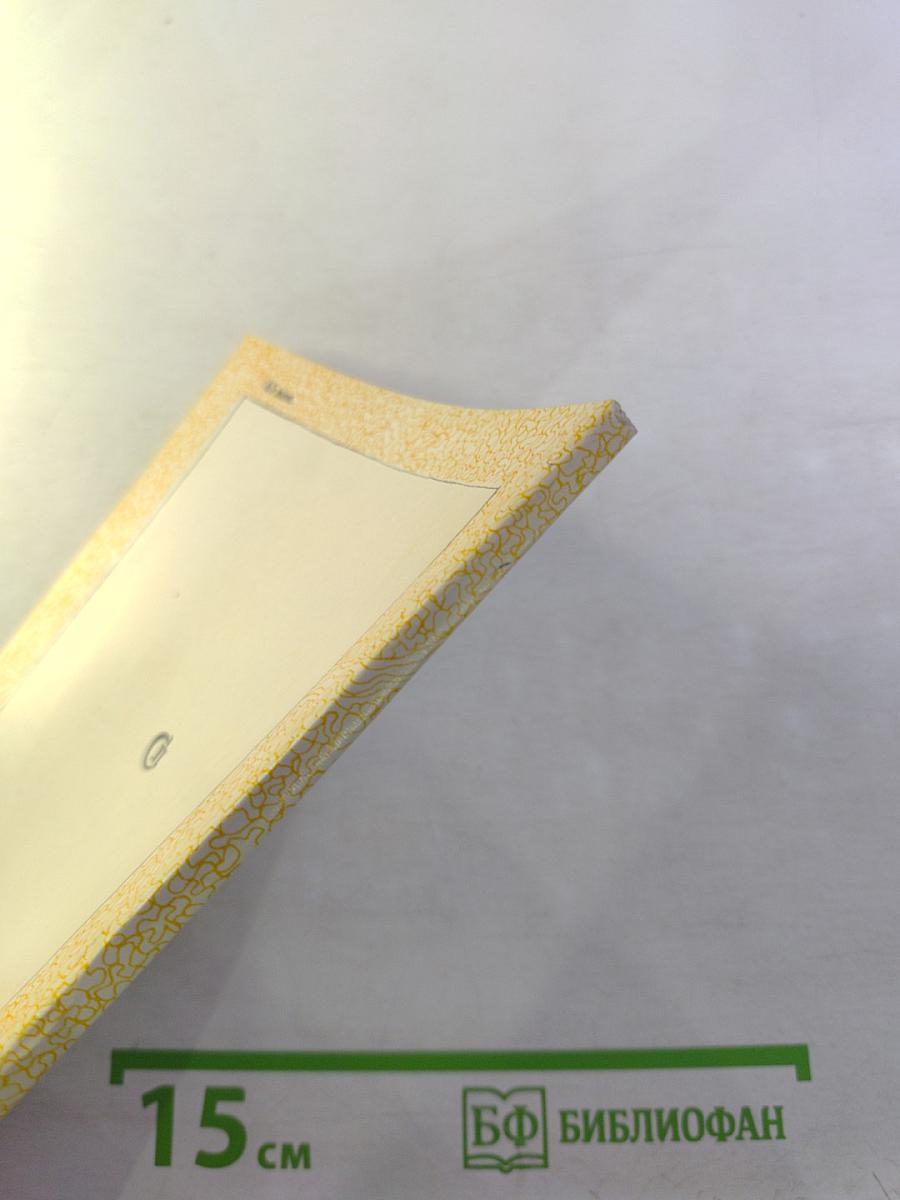 За голубым кордоном тишины