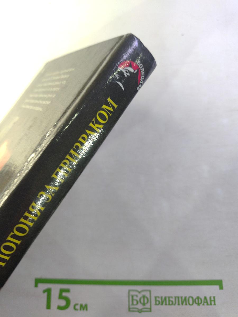 Погоня за призраком