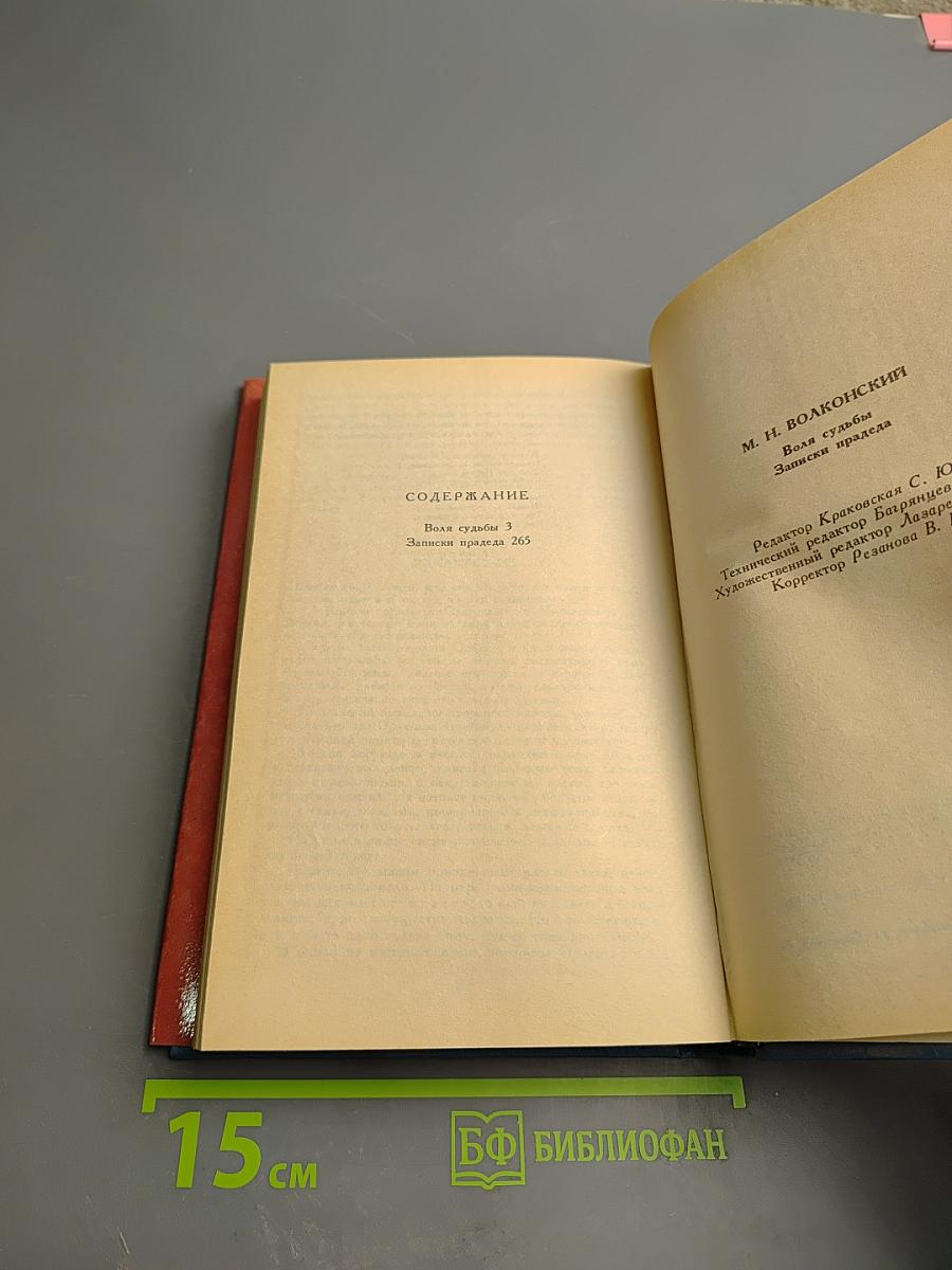 Воля судьбы. Записки прадеда