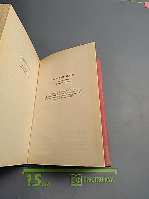Воля судьбы. Записки прадеда