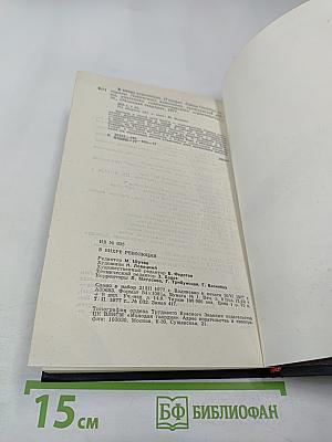 В вихре революции